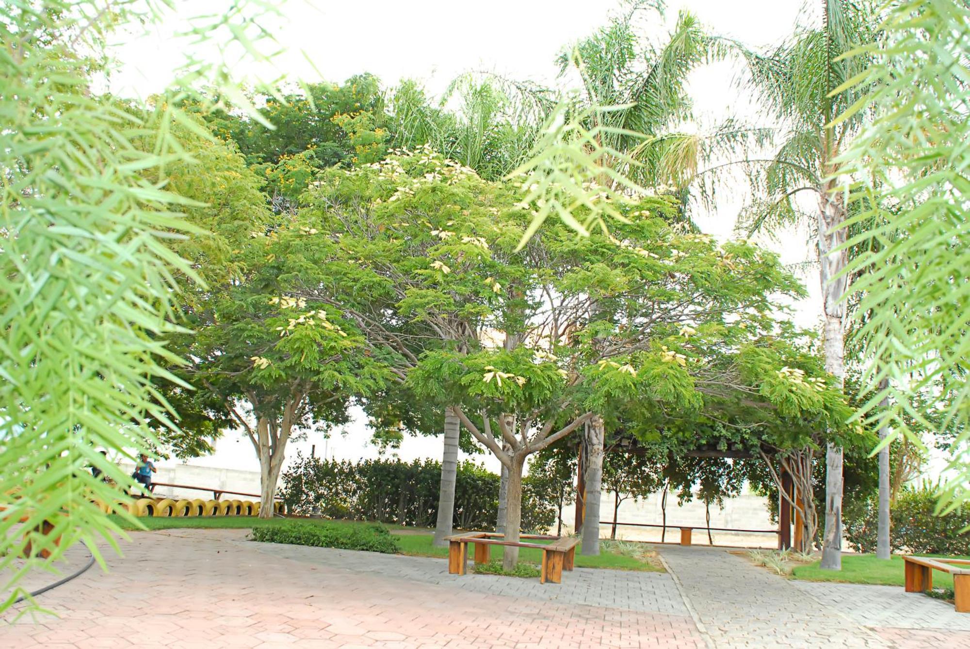 Hotel Flor Da Chapada Itaberaba Esterno foto